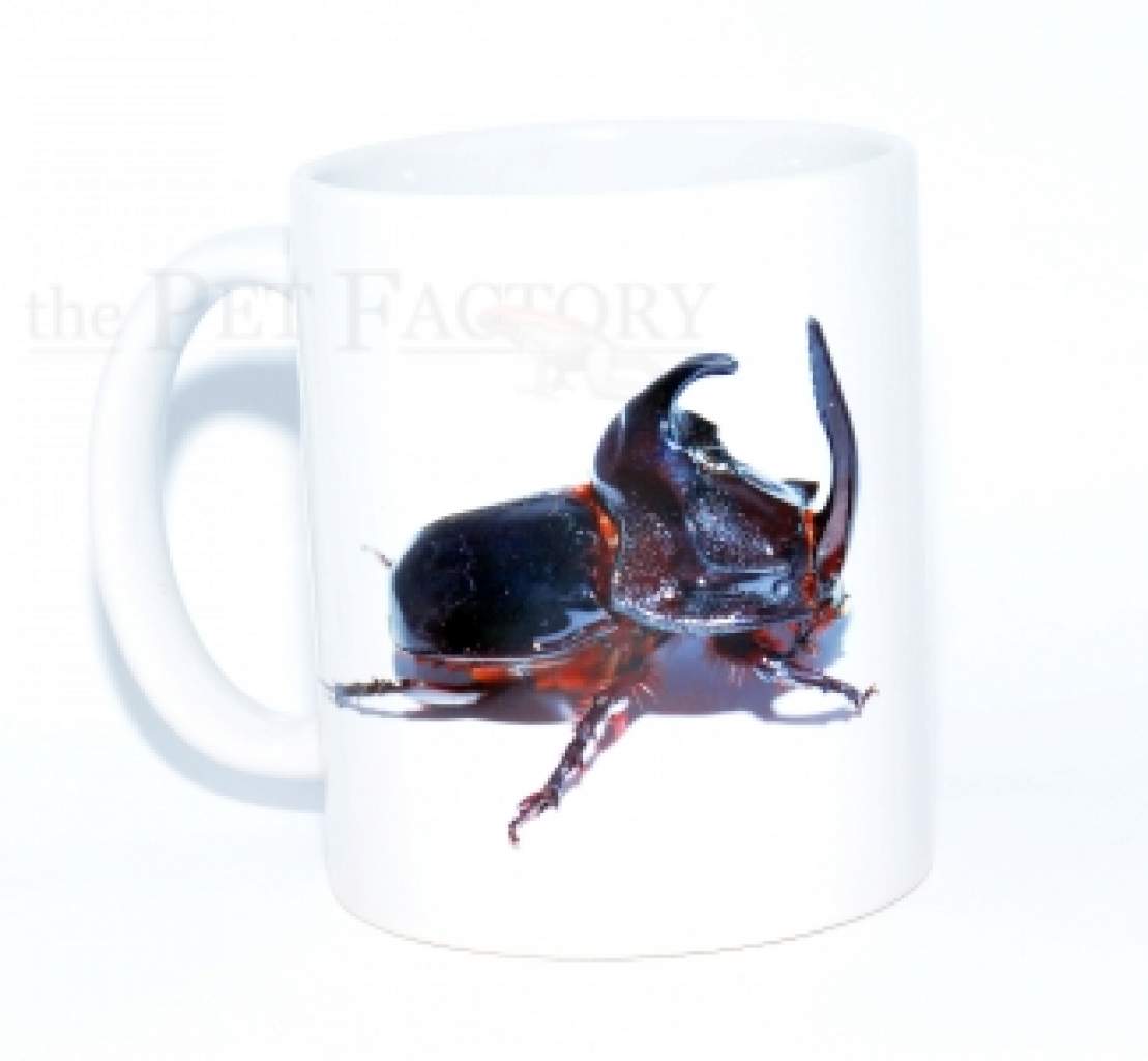 Kaffeebecher Verschiedene Motive